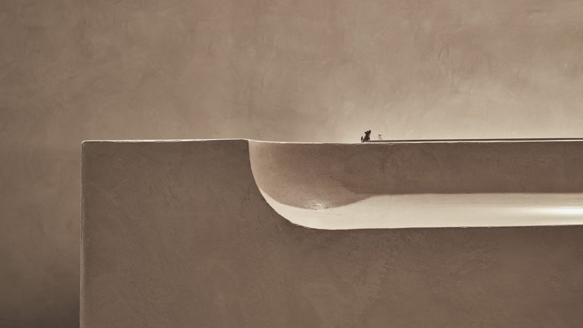 Simple and elegant lime-based plaster design showcasing smooth curves on a textured wall surface.