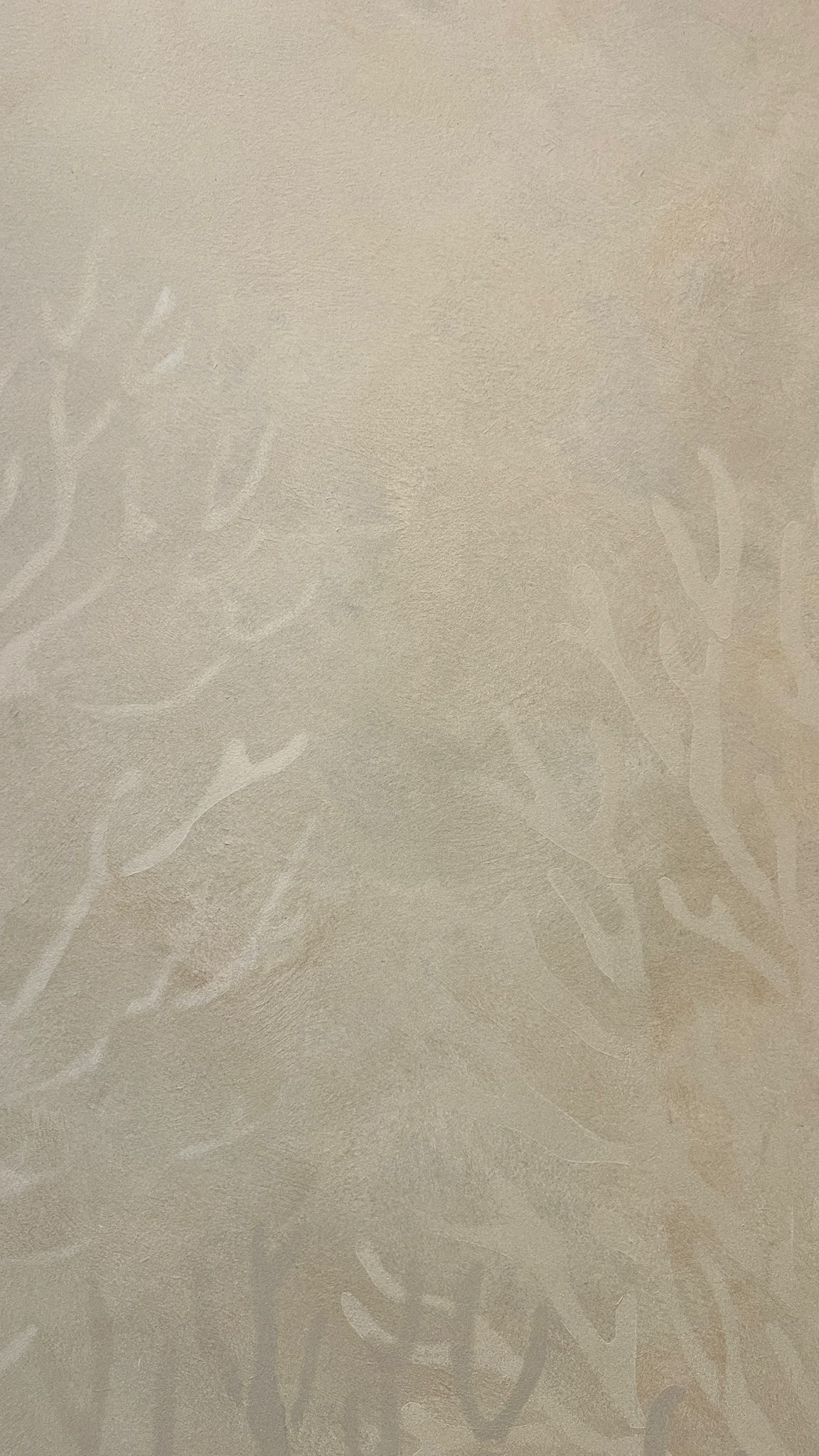 Detailed view of Shira semi-transparent wall finish with delicate, branch-like tonal patterns and soft light reflection.