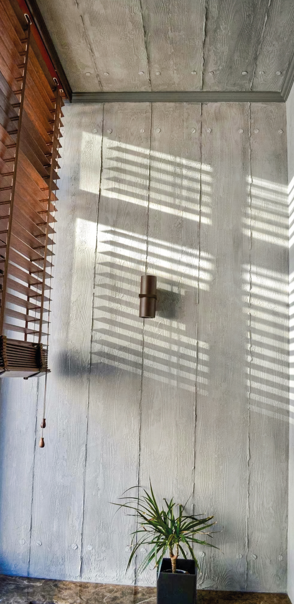 Interior wall showcasing textured lime-based paint with sunlight casting shadows, featuring a potted plant and wooden blinds.